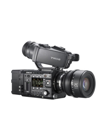 سراويل رجالية رخيصة