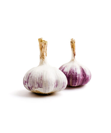 عهد جليتر تانك