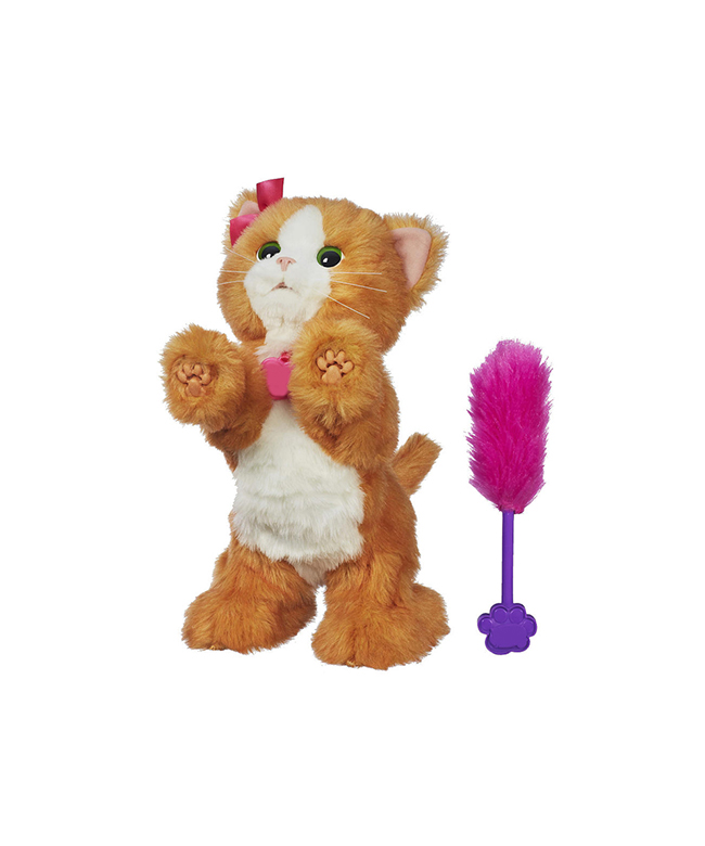 أرشيبالد بلاك مش - الصورة 2